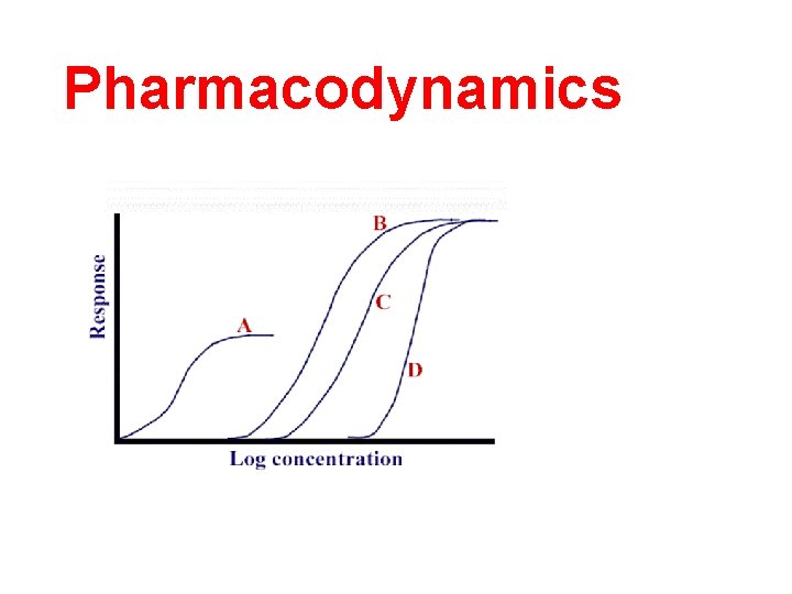 Pharmacodynamics 