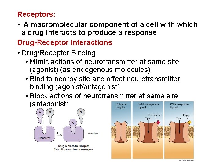 Receptors: • A macromolecular component of a cell with which a drug interacts to