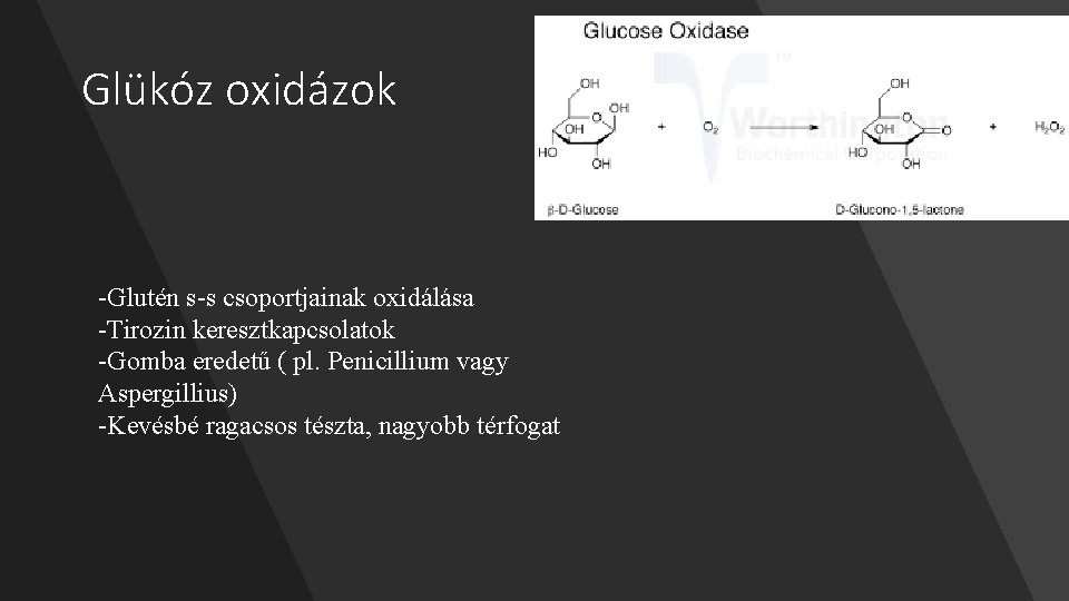 Glükóz oxidázok -Glutén s-s csoportjainak oxidálása -Tirozin keresztkapcsolatok -Gomba eredetű ( pl. Penicillium vagy