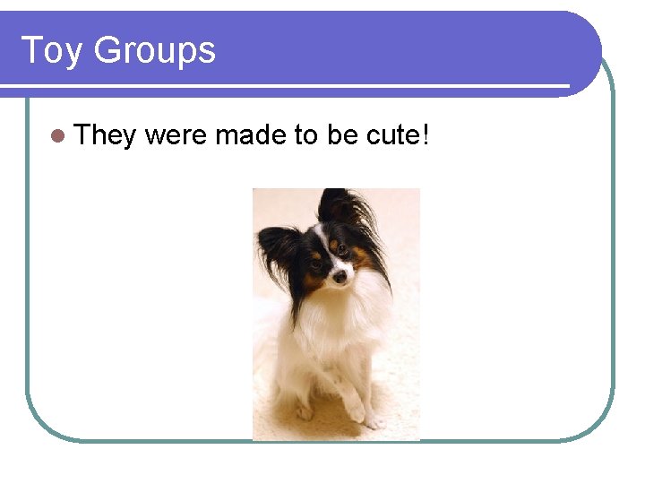 Toy Groups l They were made to be cute! Toy Groups l They were made to be cute!