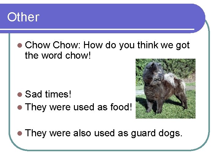 Other l Chow: How do you think we got the word chow! l Sad Other l Chow: How do you think we got the word chow! l Sad