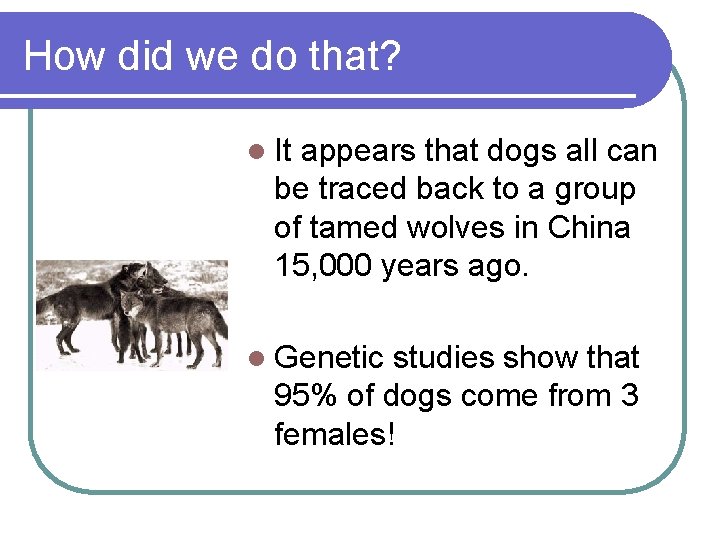 How did we do that? l It appears that dogs all can be traced How did we do that? l It appears that dogs all can be traced