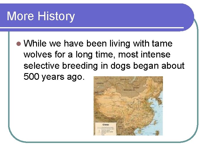 More History l While we have been living with tame wolves for a long More History l While we have been living with tame wolves for a long