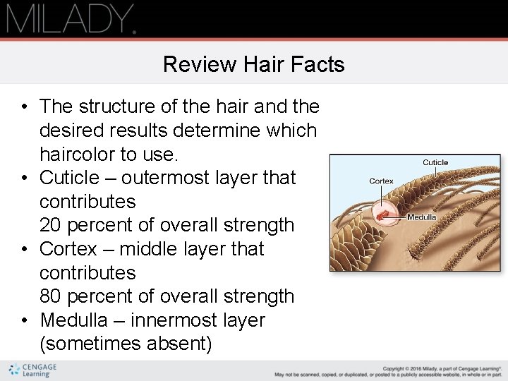 Review Hair Facts • The structure of the hair and the desired results determine