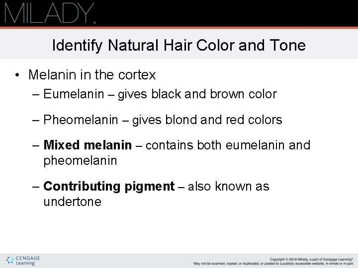 Identify Natural Hair Color and Tone • Melanin in the cortex – Eumelanin –