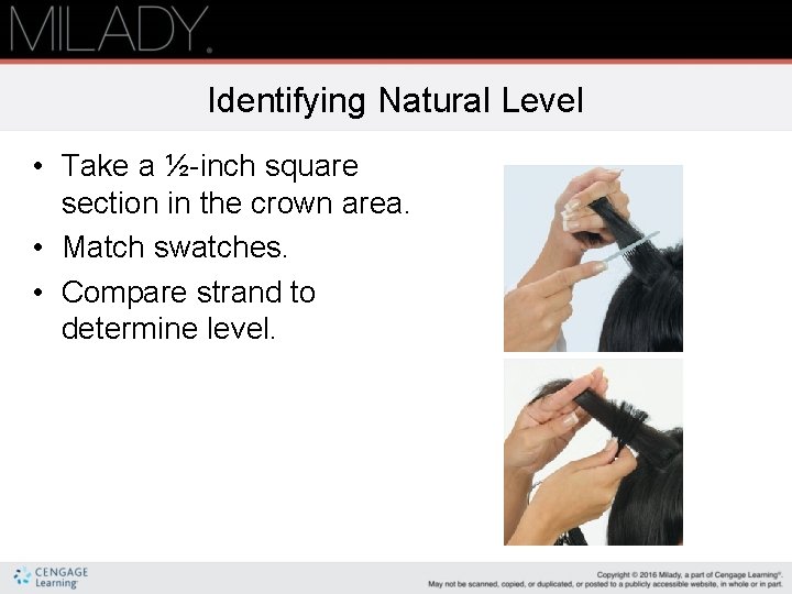 Identifying Natural Level • Take a ½-inch square section in the crown area. •