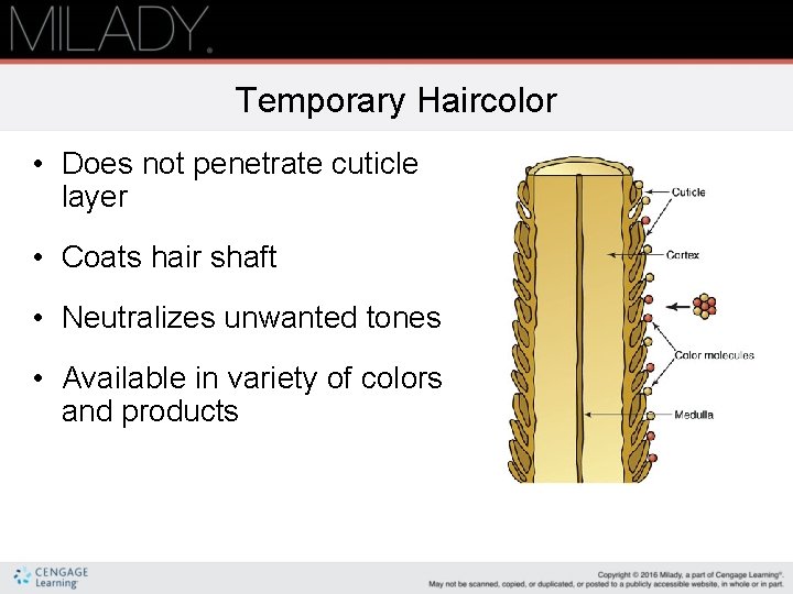 Temporary Haircolor • Does not penetrate cuticle layer • Coats hair shaft • Neutralizes