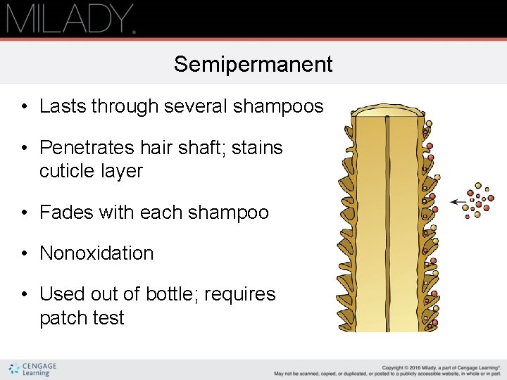 Semipermanent • Lasts through several shampoos • Penetrates hair shaft; stains cuticle layer •