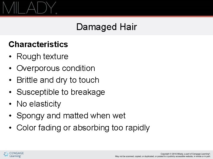 Damaged Hair Characteristics • Rough texture • Overporous condition • Brittle and dry to