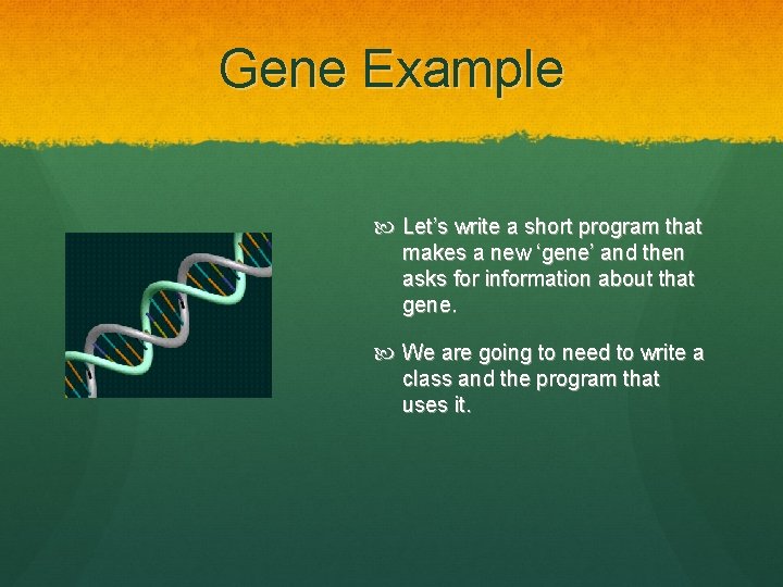 Gene Example Let’s write a short program that makes a new ‘gene’ and then