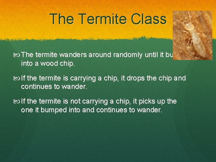 The Termite Class The termite wanders around randomly until it bumps into a wood