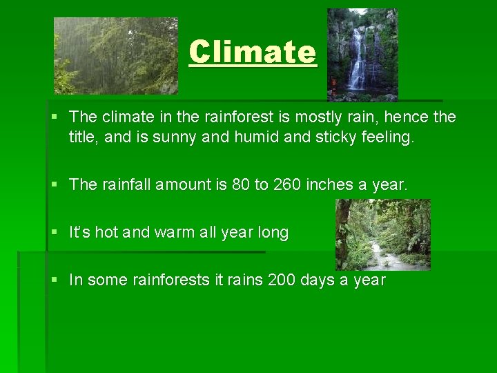 Climate § The climate in the rainforest is mostly rain, hence the title, and