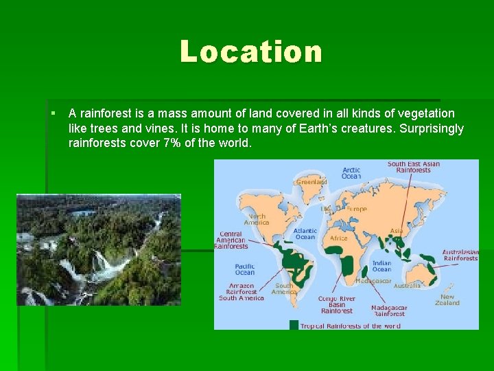 Location § A rainforest is a mass amount of land covered in all kinds