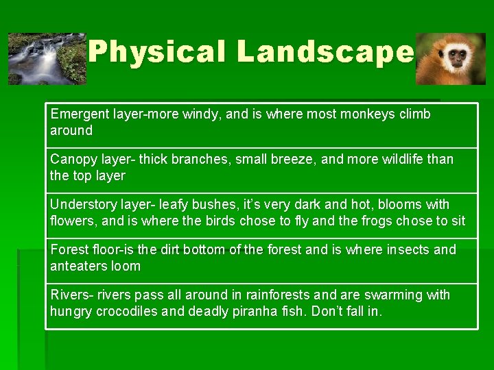 Physical Landscape Emergent layer-more windy, and is where most monkeys climb around Canopy layer-