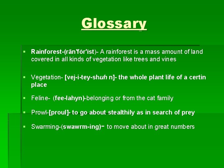 Glossary § Rainforest-(rān'fôr'ĭst)- A rainforest is a mass amount of land covered in all