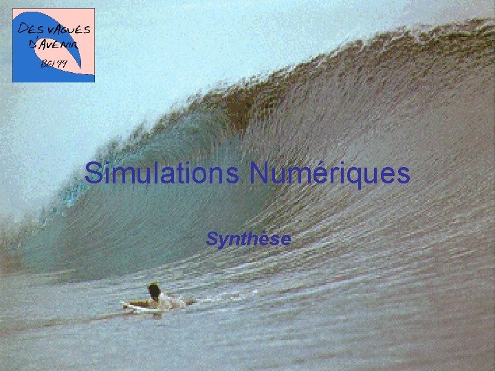 Simulations Numériques Synthèse 