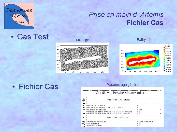 Prise en main d ’Artemis Fichier Cas • Cas Test • Fichier Cas Maillage