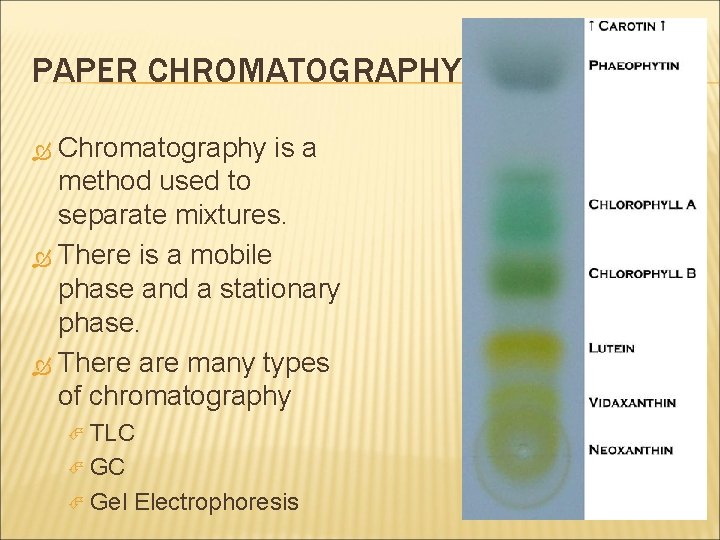 PAPER CHROMATOGRAPHY Chromatography is a method used to separate mixtures. There is a mobile PAPER CHROMATOGRAPHY Chromatography is a method used to separate mixtures. There is a mobile