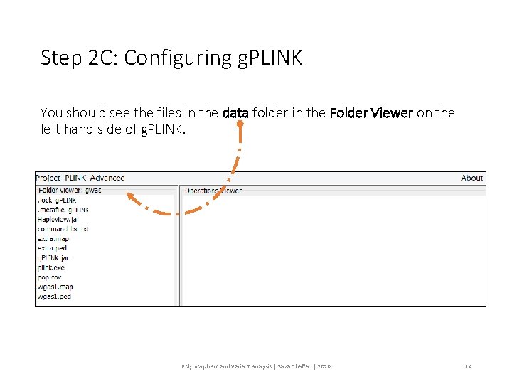 Step 2 C: Configuring g. PLINK You should see the files in the data