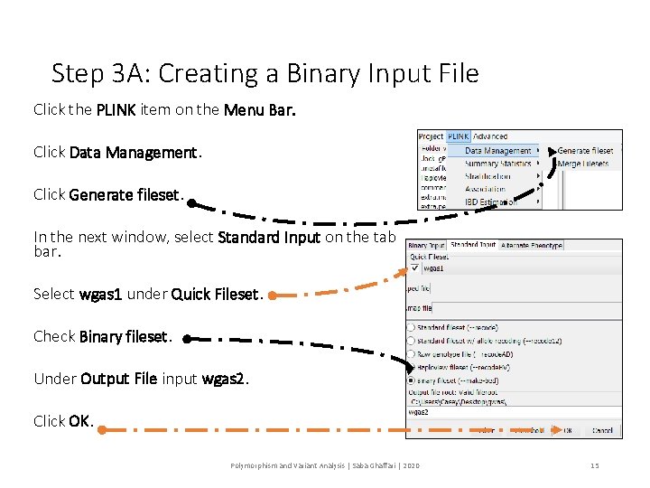 Step 3 A: Creating a Binary Input File Click the PLINK item on the