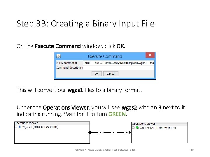 Step 3 B: Creating a Binary Input File On the Execute Command window, click