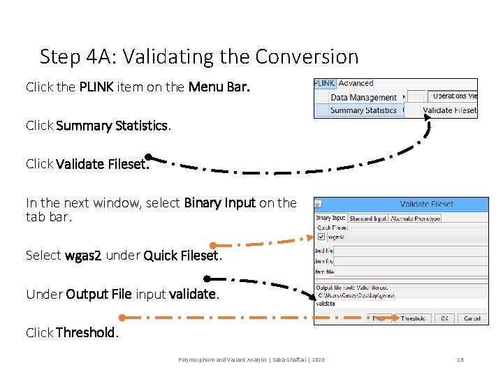 Step 4 A: Validating the Conversion Click the PLINK item on the Menu Bar.