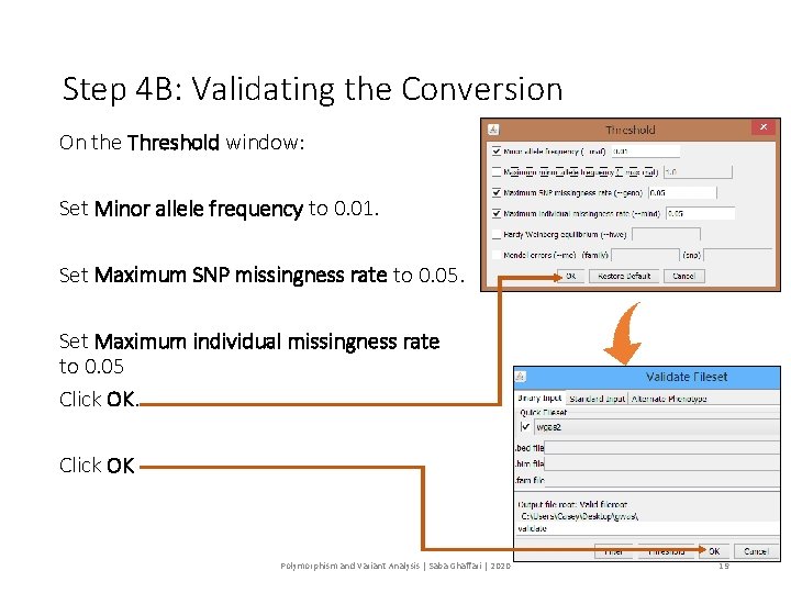 Step 4 B: Validating the Conversion On the Threshold window: Set Minor allele frequency