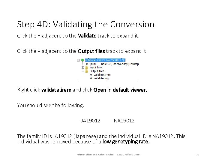 Step 4 D: Validating the Conversion Click the + adjacent to the Validate track