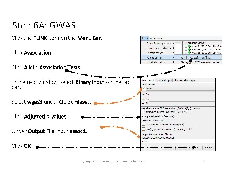 Step 6 A: GWAS Click the PLINK item on the Menu Bar. Click Association.