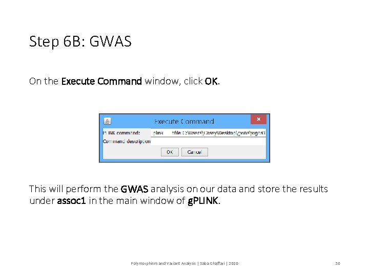 Step 6 B: GWAS On the Execute Command window, click OK. This will perform