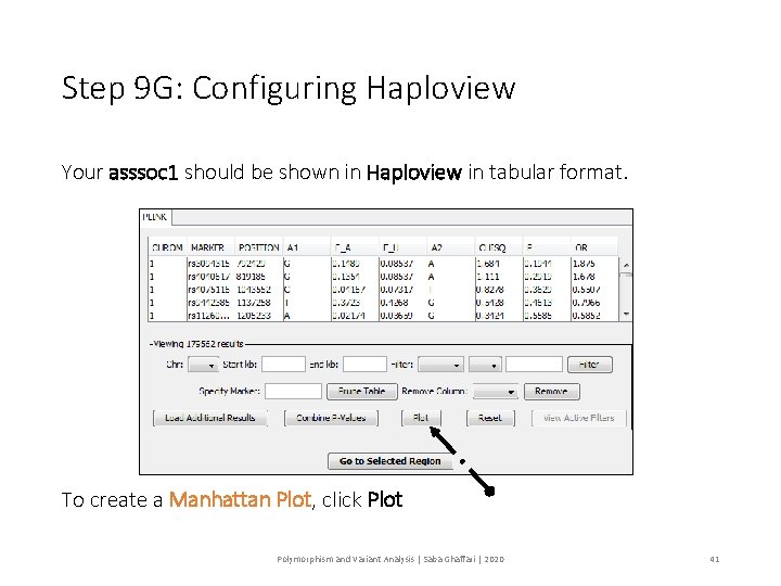 Step 9 G: Configuring Haploview Your asssoc 1 should be shown in Haploview in