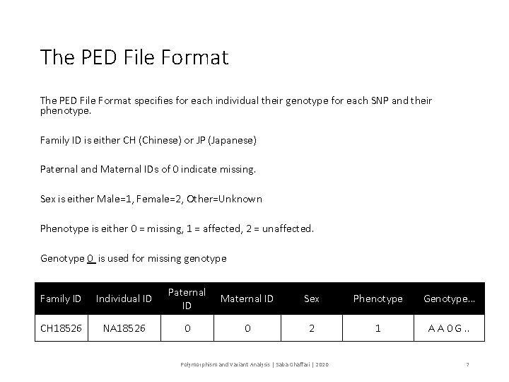 The PED File Format specifies for each individual their genotype for each SNP and