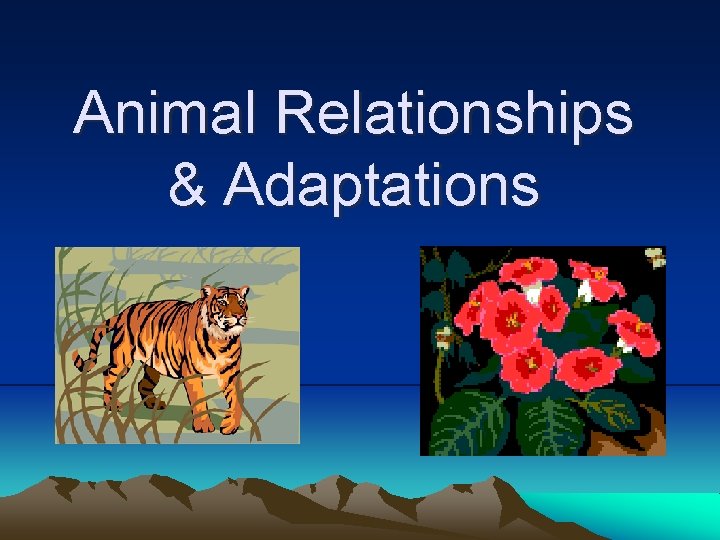 Animal Relationships & Adaptations 