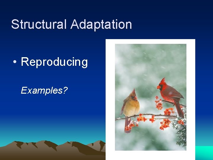 Structural Adaptation • Reproducing Examples? 