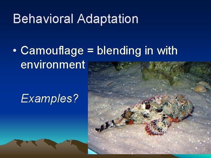Behavioral Adaptation • Camouflage = blending in with environment Examples? 