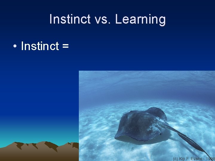Instinct vs. Learning • Instinct = 