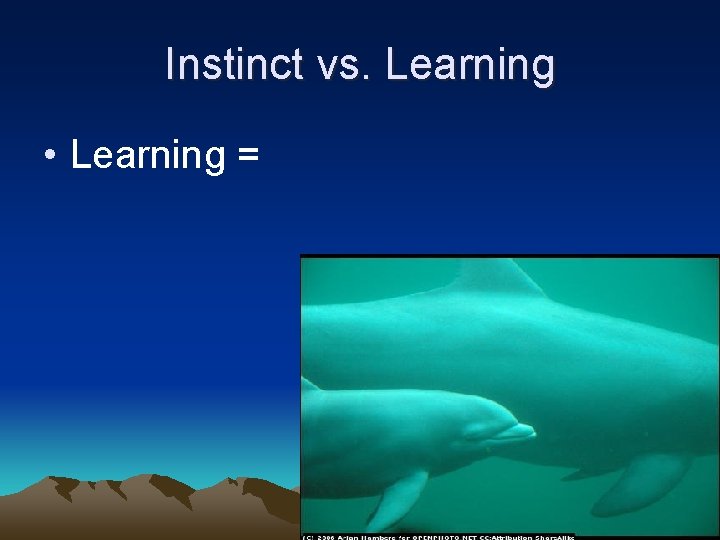 Instinct vs. Learning • Learning = 