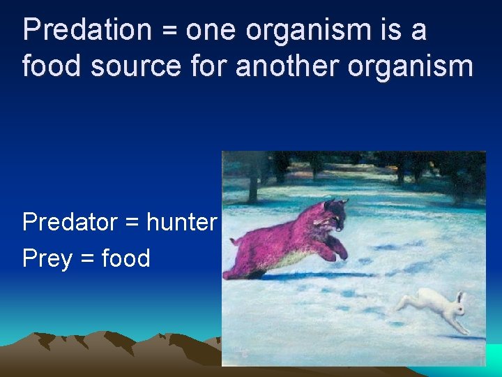 Predation = one organism is a food source for another organism Predator = hunter