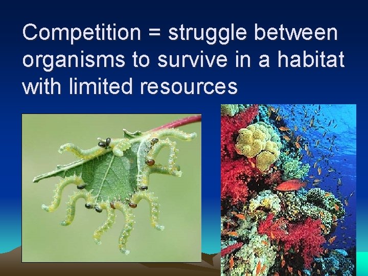 Competition = struggle between organisms to survive in a habitat with limited resources 