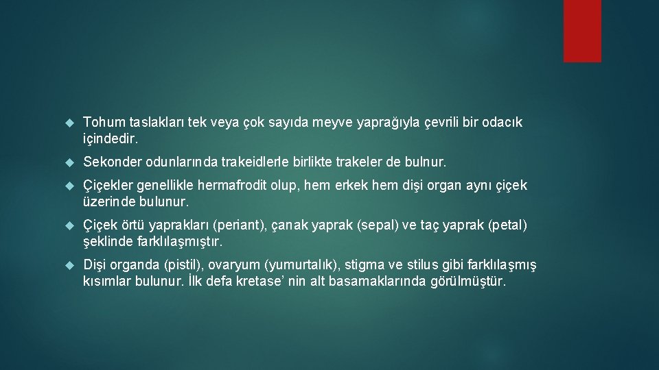  Tohum taslakları tek veya çok sayıda meyve yaprağıyla çevrili bir odacık içindedir. Sekonder