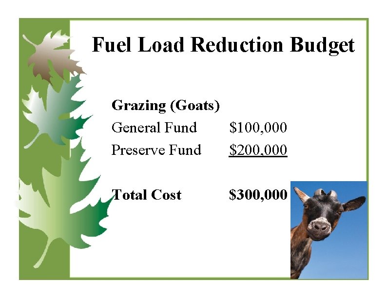 Fuel Load Reduction Budget Grazing (Goats) General Fund $100, 000 Preserve Fund $200, 000