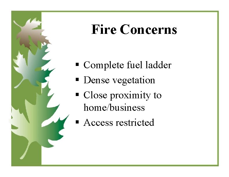 Fire Concerns § Complete fuel ladder § Dense vegetation § Close proximity to home/business