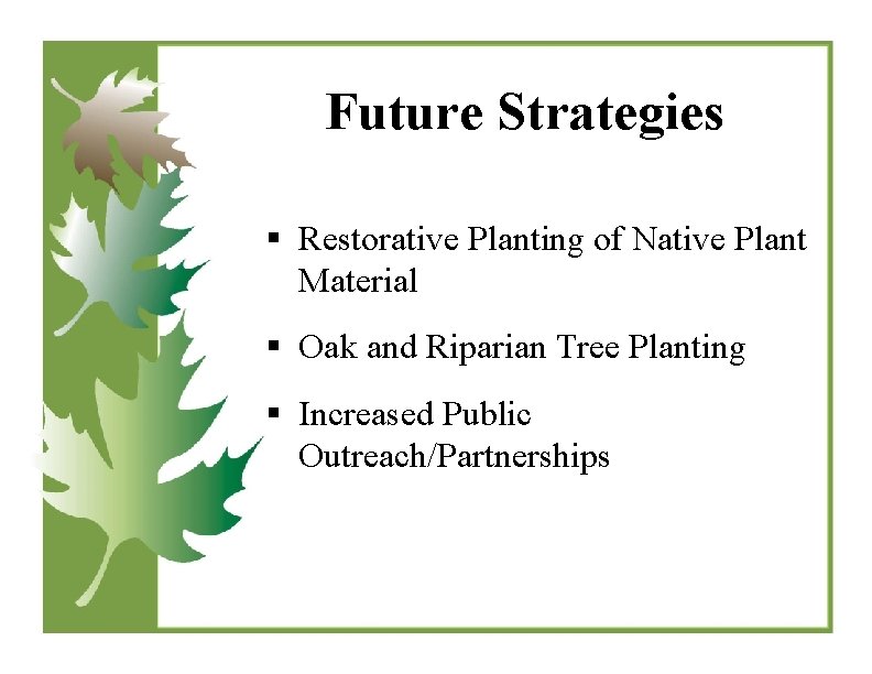 Future Strategies § Restorative Planting of Native Plant Material § Oak and Riparian Tree