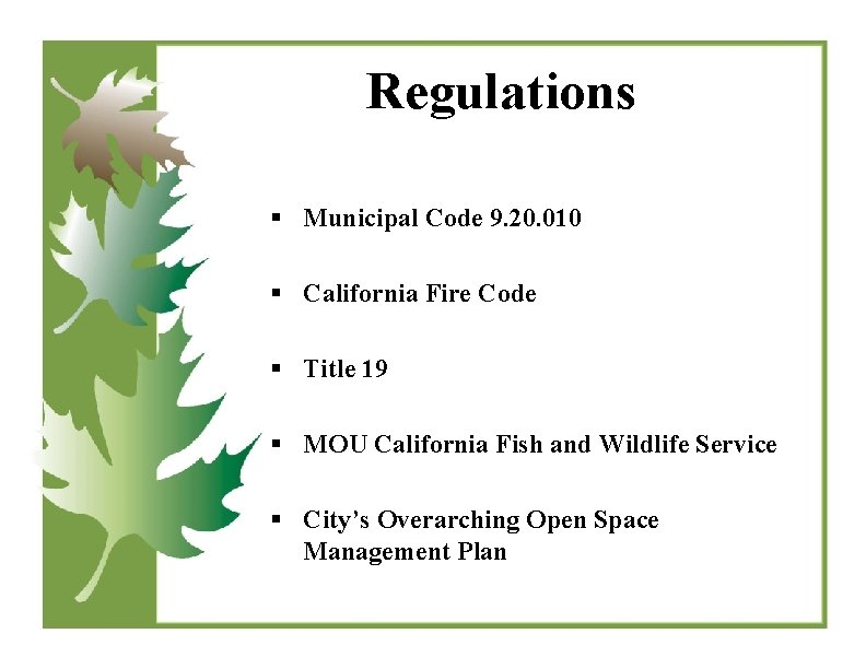 Regulations § Municipal Code 9. 20. 010 § California Fire Code § Title 19