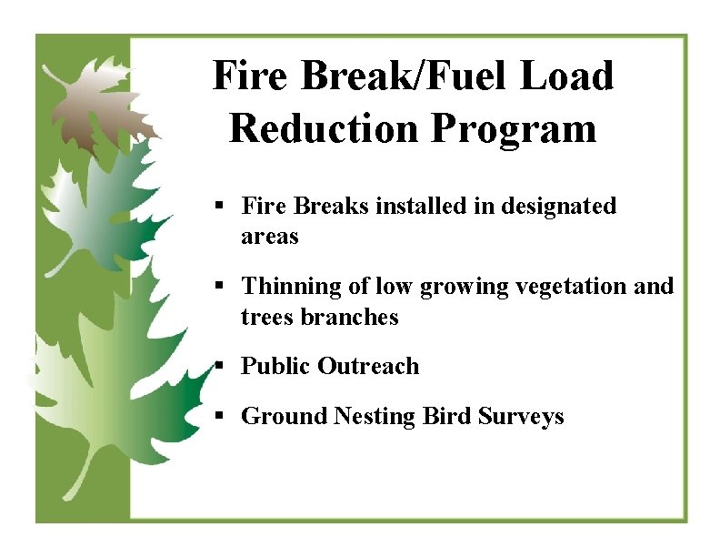 Fire Break/Fuel Load Reduction Program § Fire Breaks installed in designated areas § Thinning