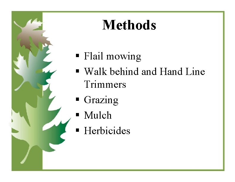 Methods § Flail mowing § Walk behind and Hand Line Trimmers § Grazing §