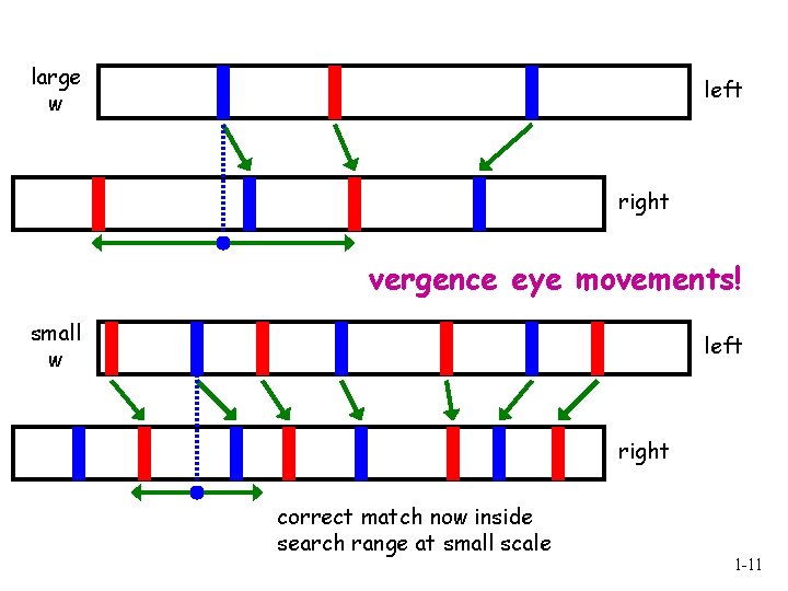 large w left right vergence eye movements! small w left right correct match now