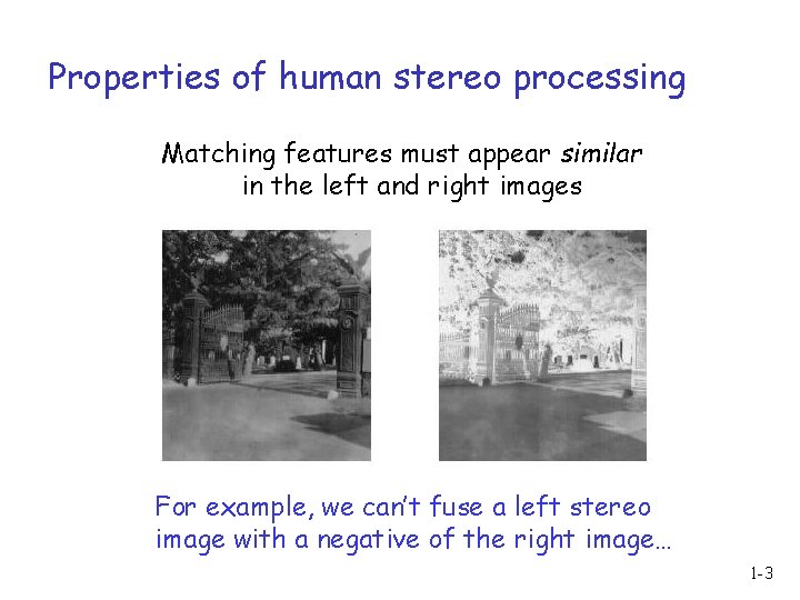 Properties of human stereo processing Matching features must appear similar in the left and