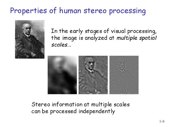 Properties of human stereo processing In the early stages of visual processing, the image