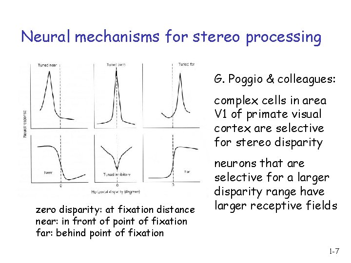 Neural mechanisms for stereo processing G. Poggio & colleagues: complex cells in area V